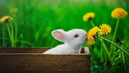 九游下载安装-裁判判罚标准新规引发热议，裁判判罚标准新规引发热议规定