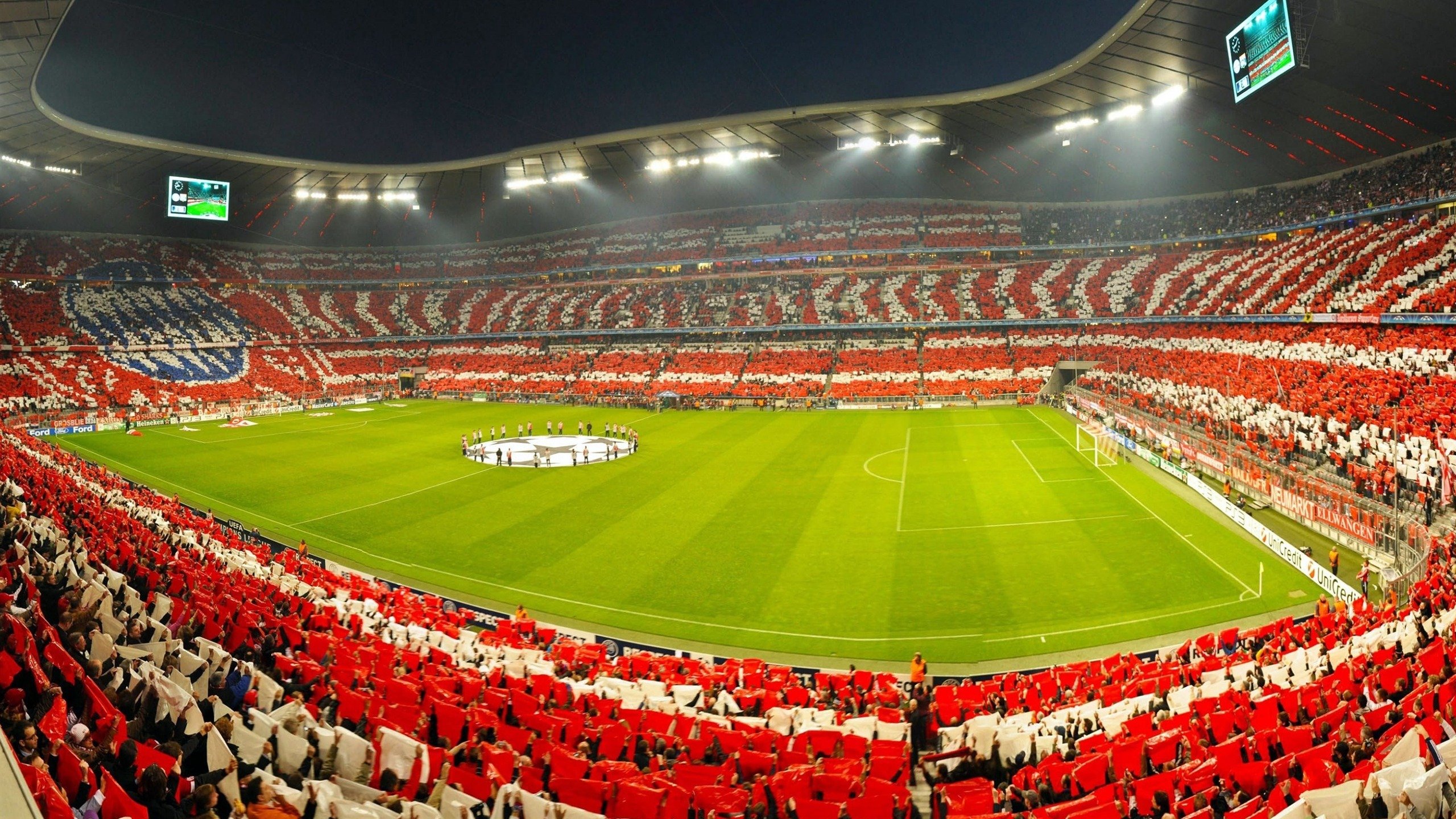 自由搏击联赛：拳拳到肉的激烈较量，自由搏击视频比赛视频完整版